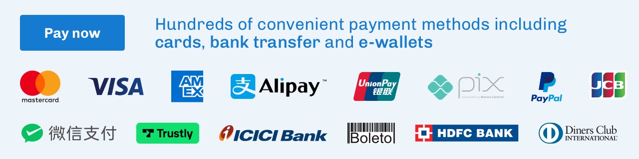 payment methods for flywire