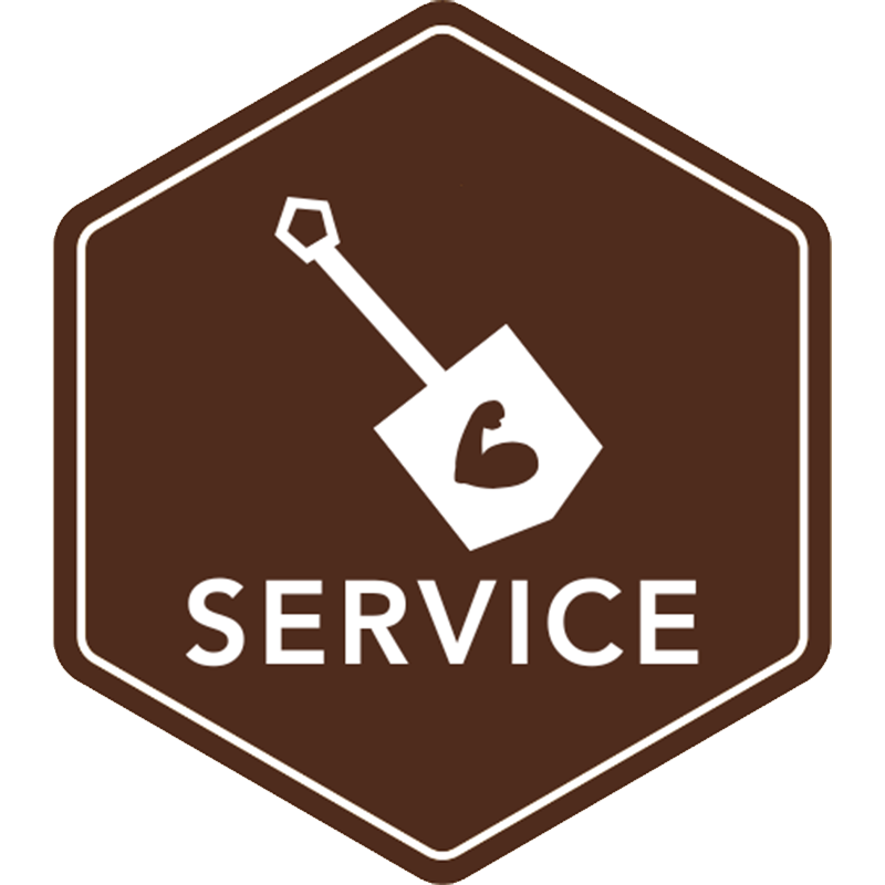 Service Wellness Icon