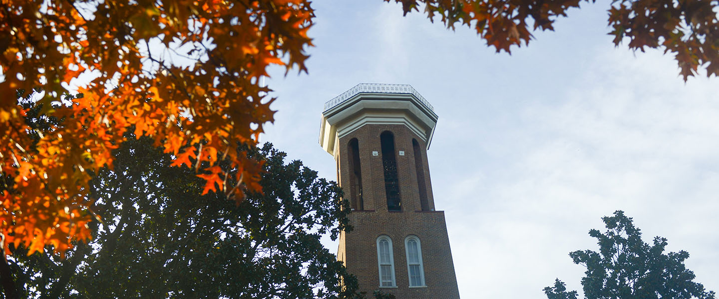 Belmont's Bell Tower see through trees