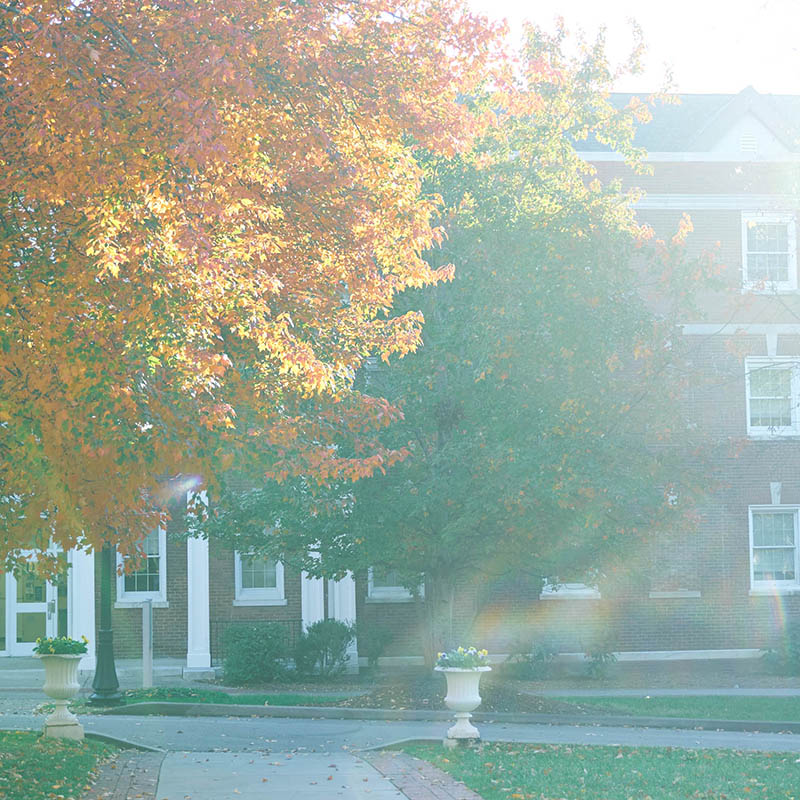 The sun shining through the fall colored trees on the historic side of campus