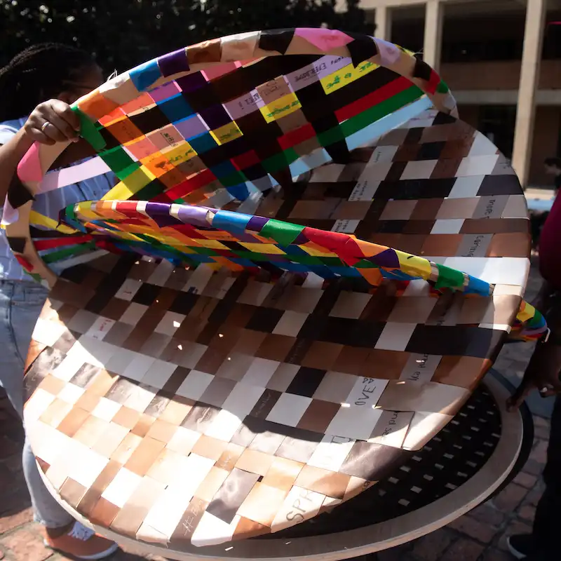 A piece of art titled "Rings of Diversity"