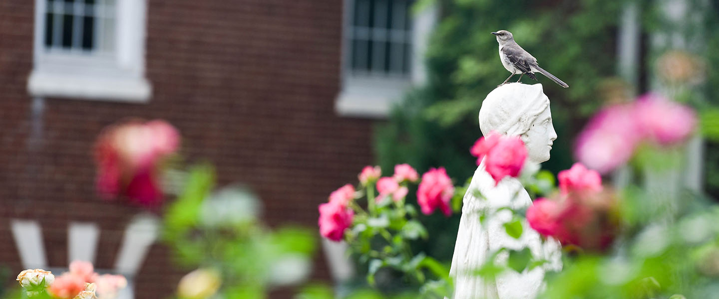 A bird perched on a statue surrounded by roses