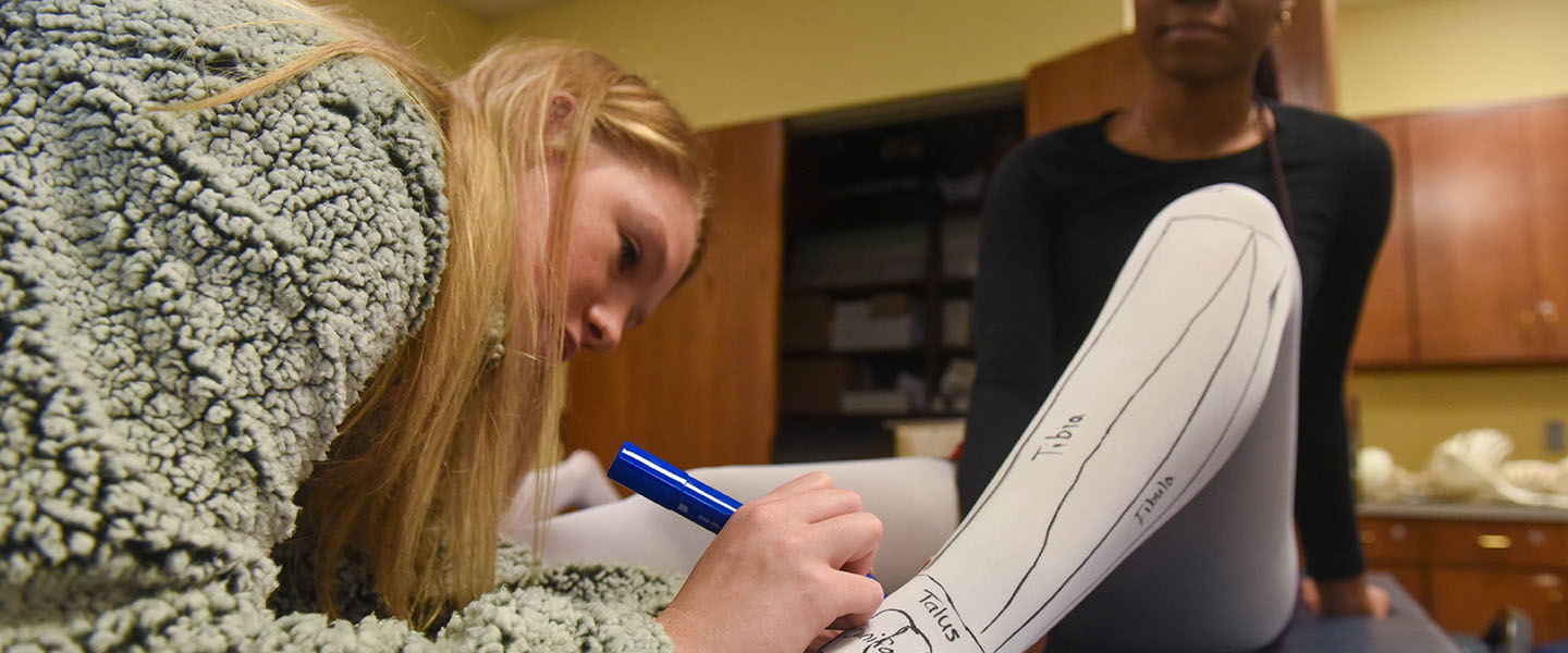 Exercise Science student labels bone illustrations on the leg of another student