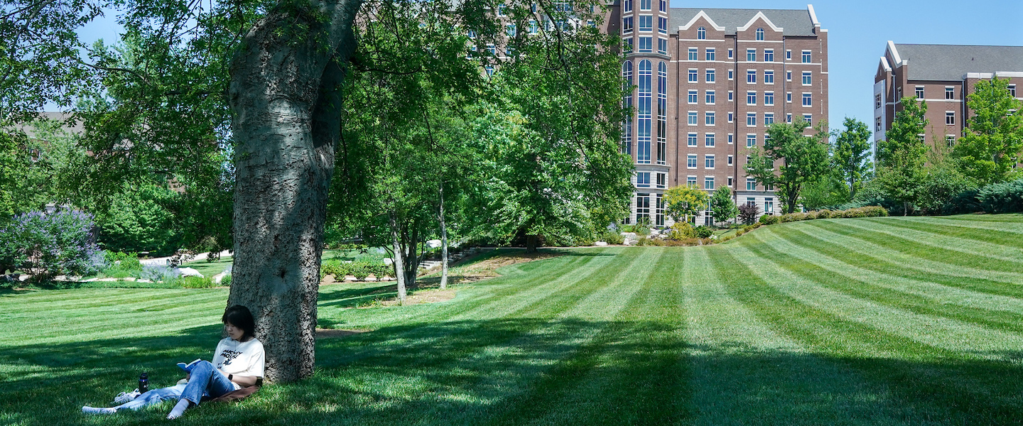 student reading under a tree on campus on a sunny day