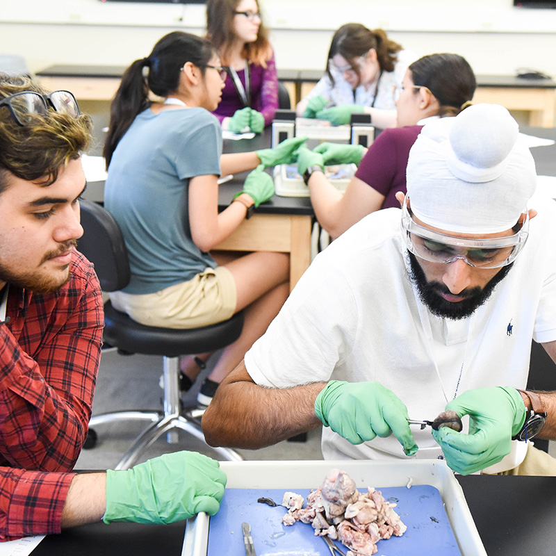 Students in lab