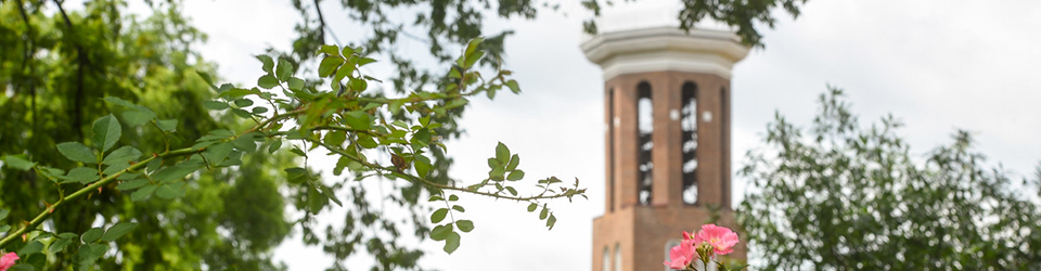 Belmont Bell Tower
