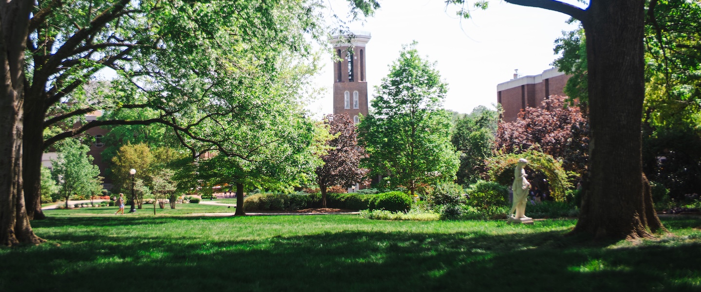 photo of the Bell Tower through trees, sun and shade