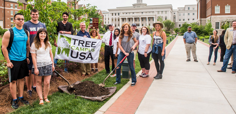 Image of students planting a tree