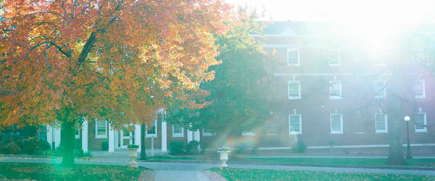 The sun shining through the fall colored trees on the historic side of campus