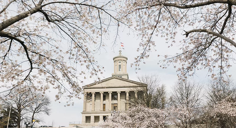 The Tennessee State Capitol framed by blooming cherry blossom trees on a bright spring day.