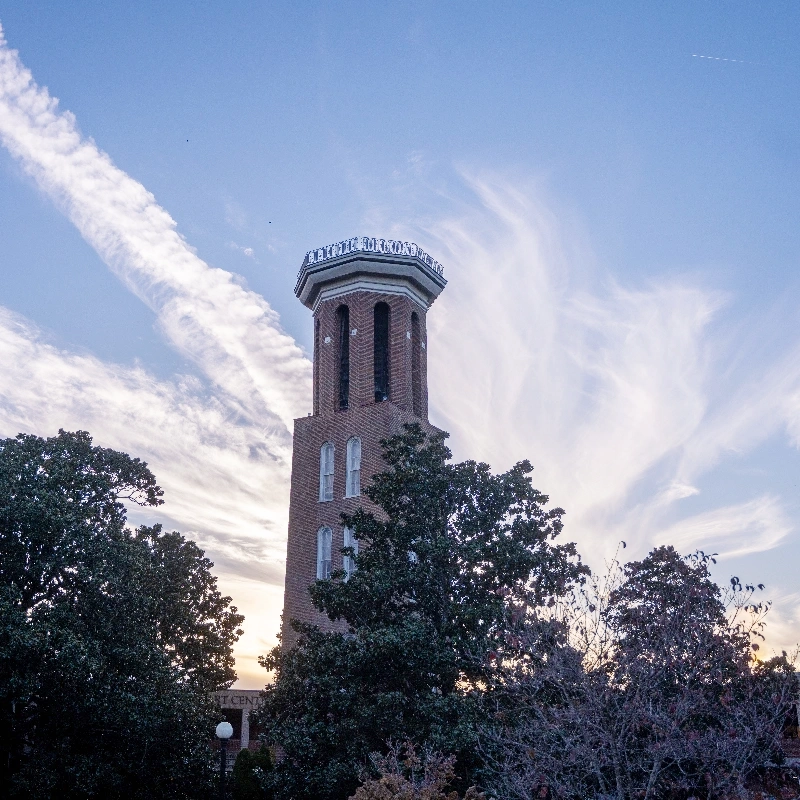A photo of the Belmont bell tower with blue morning sky.