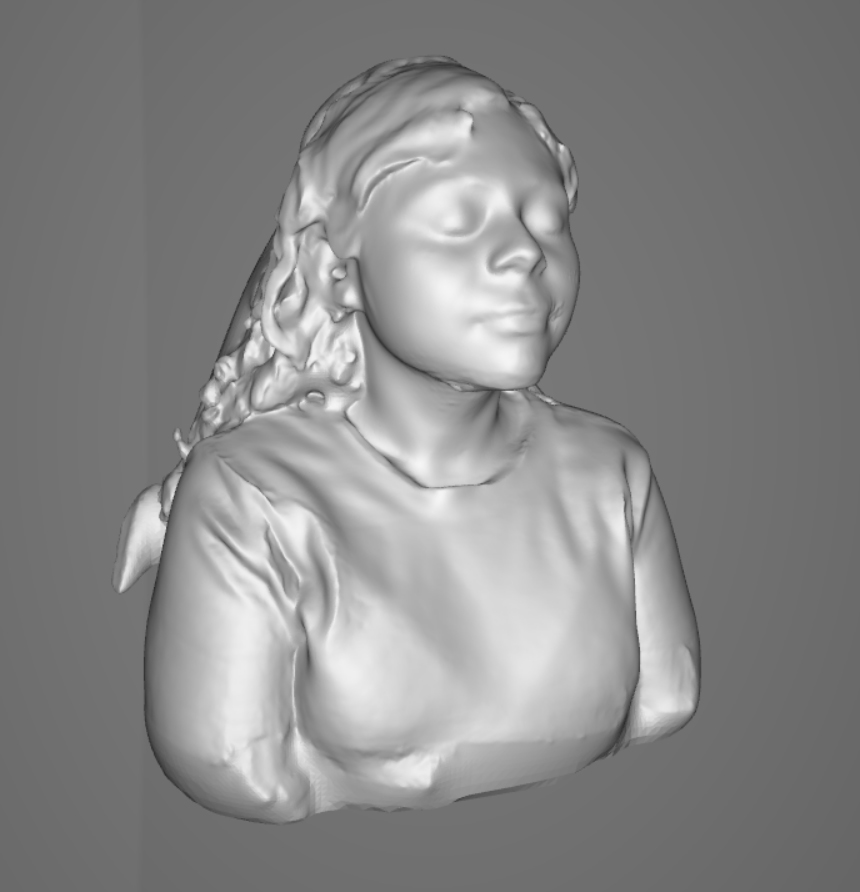 low fidelity scan of a female students face and shoulders