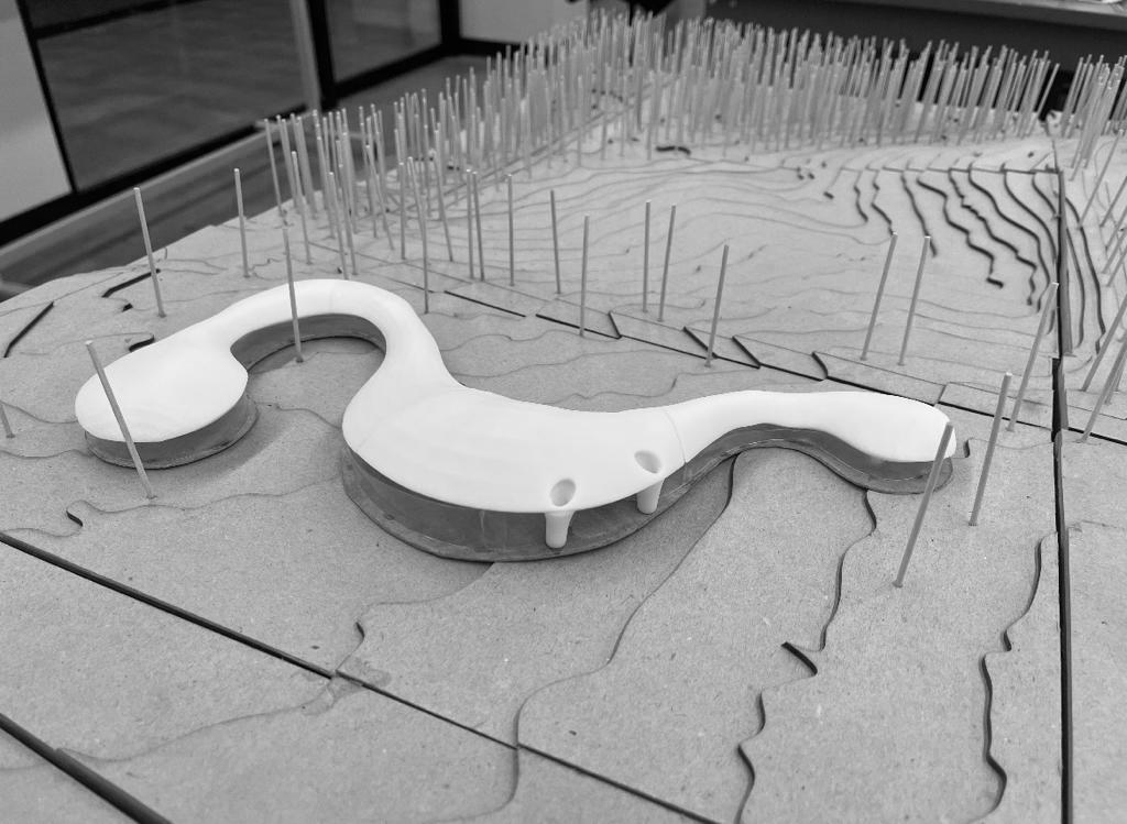 wide image of a white building model with wood sticks representing trees