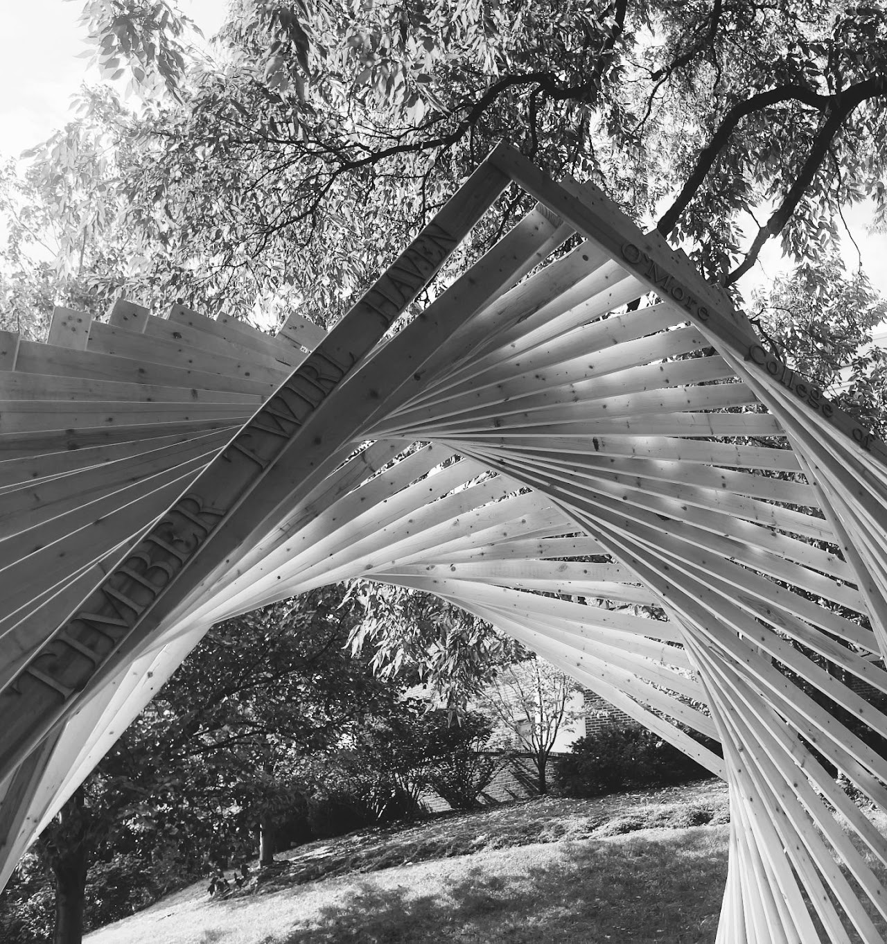 A black and white image of the top of the Timber Twirl Haven