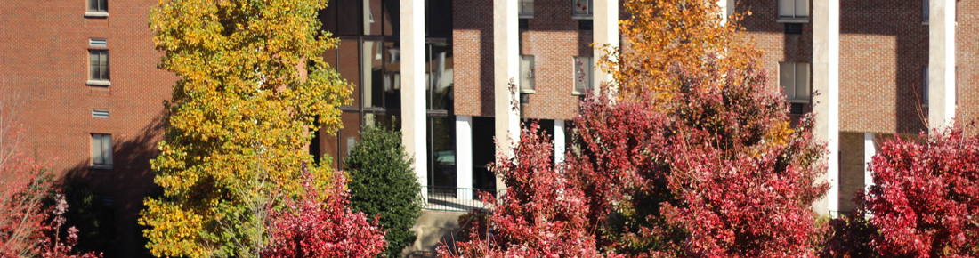 Exterior photo of Maddox Hall