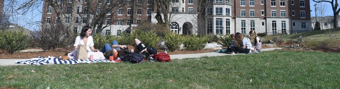 A photo of Belmont students having a picnic beside Bear Creek in front of Tall Hall.