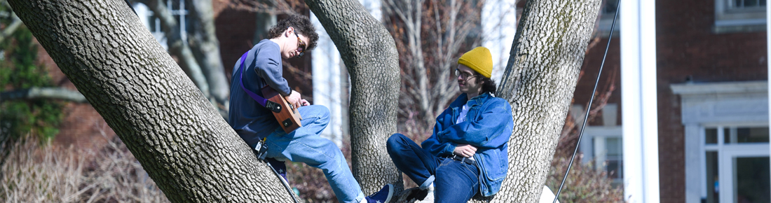 A candid photo of two male students sitting in a tree. One student is strumming on a guitar.
