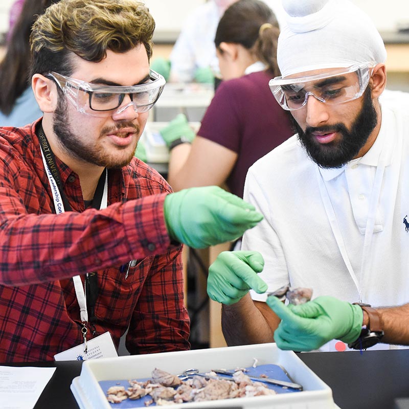 A student working with a professor