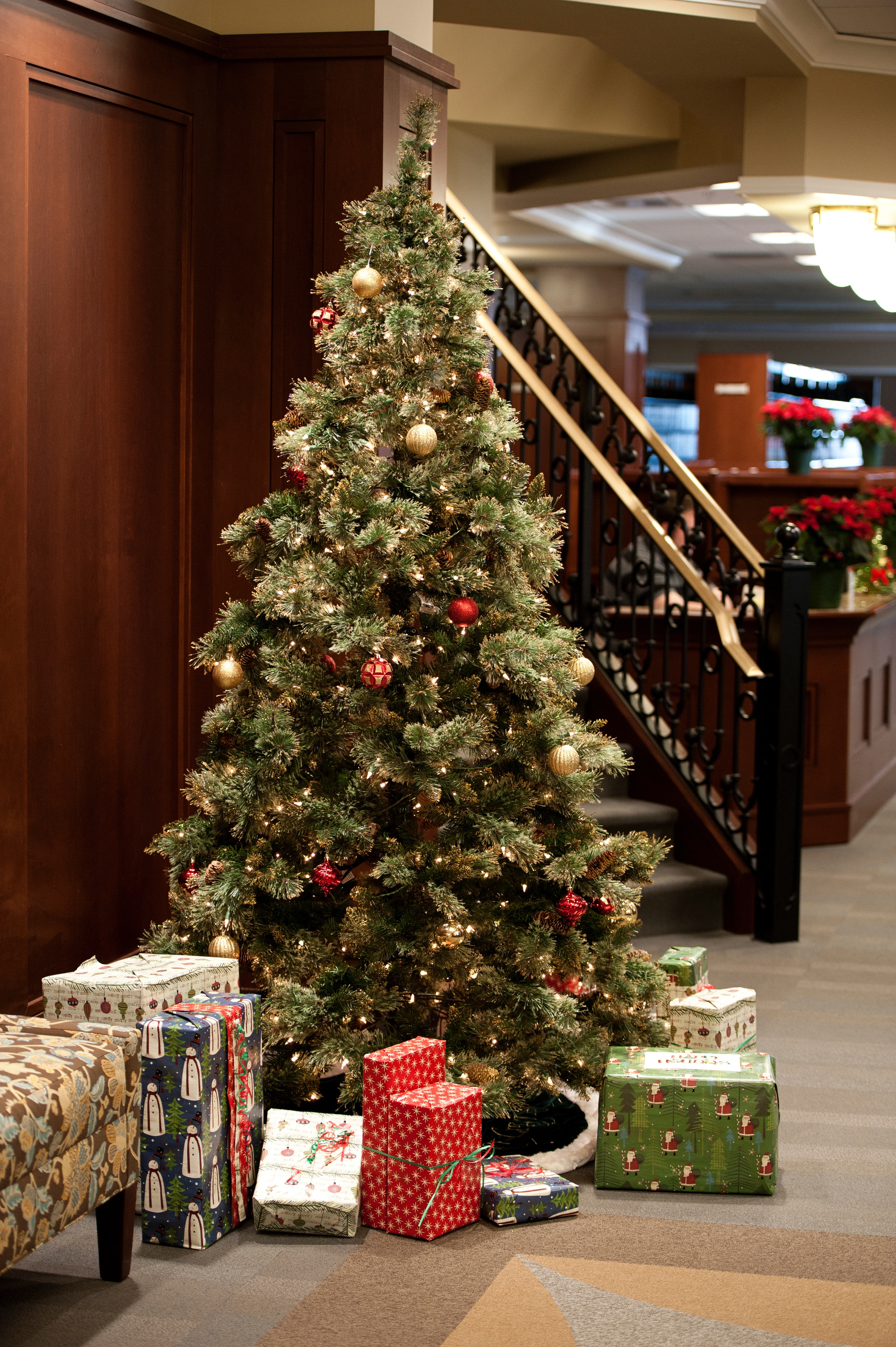 Law building with christmas trees and gifts