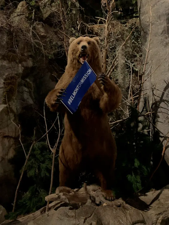 Stuffed bear at Bass Pro Shop with Belmont on Mission banner