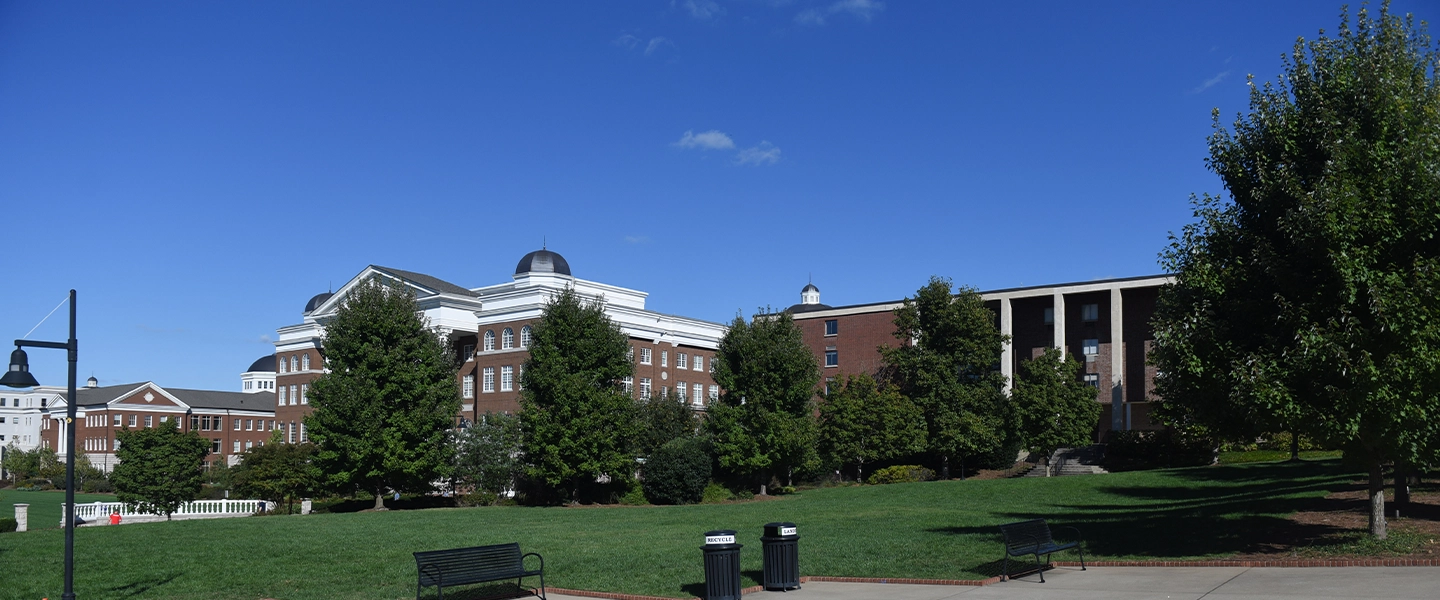 A picture of the south lawn 