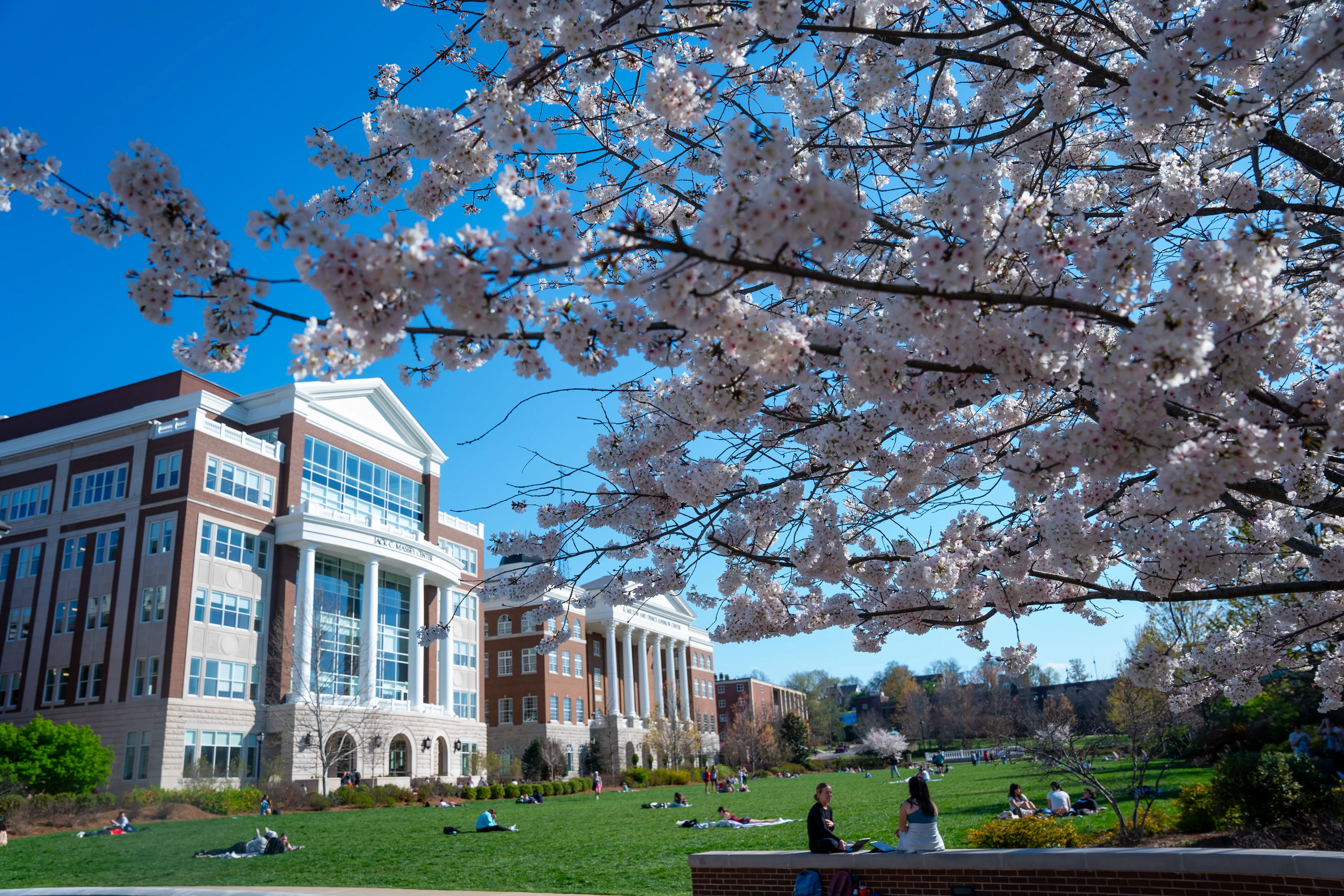 Belmont University's lawn on a sunny day, Flowers, Belmont's Jack C. Massey Center