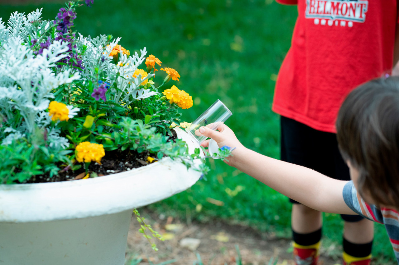 Campers gather bugs from a potted plant