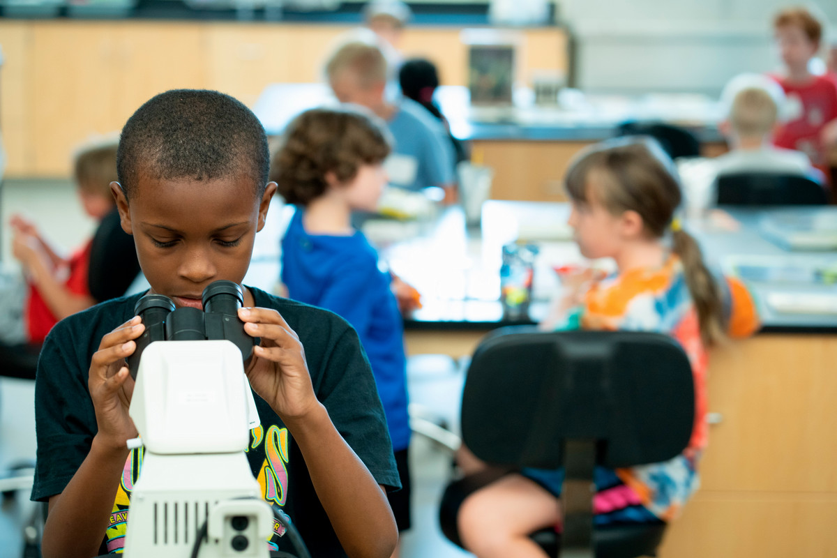 Camper looks at a bug through a micoscope