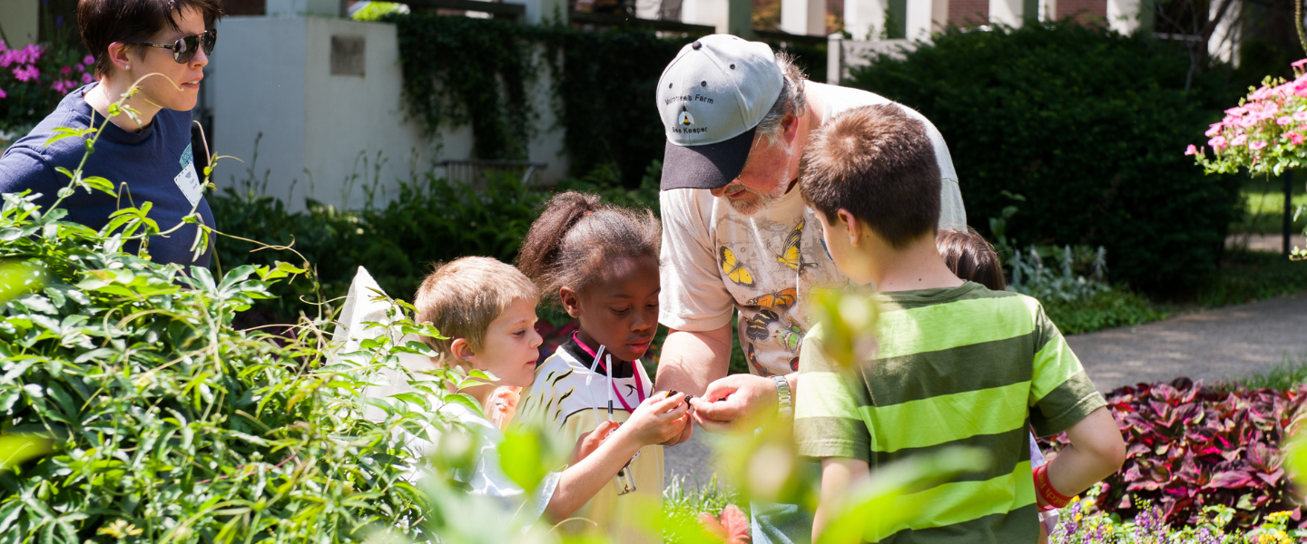 Dr. Steve Murphree shows kids some bugs