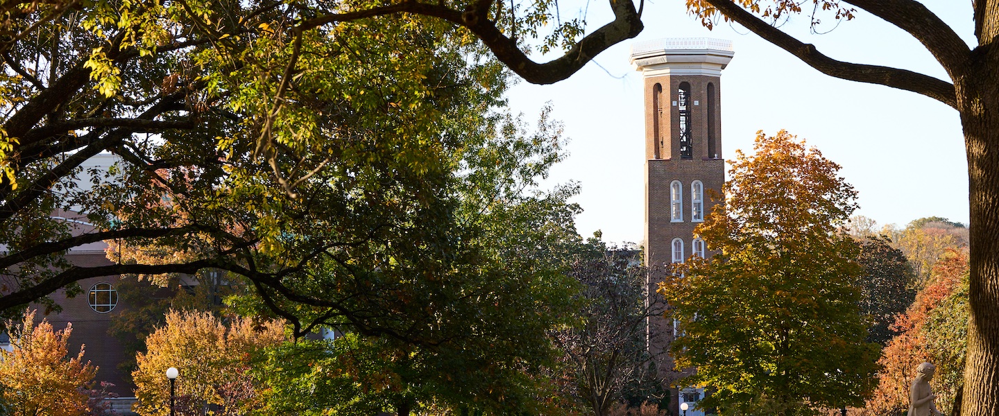 fall leaves with Belmont bell tower in the distance