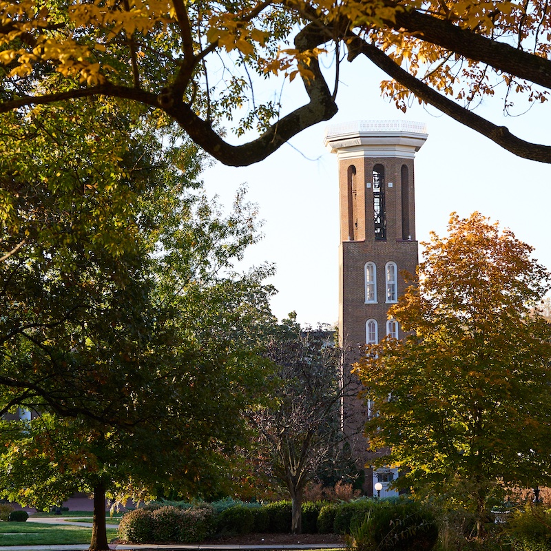 fall leaves with Belmont bell tower in the distance