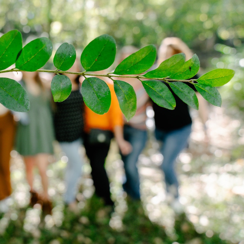 a leaf obstructs the view of women from the healing house posing outdoors