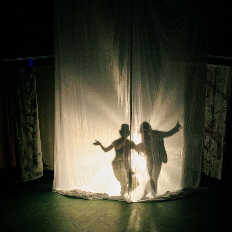shadow of two performers on stage