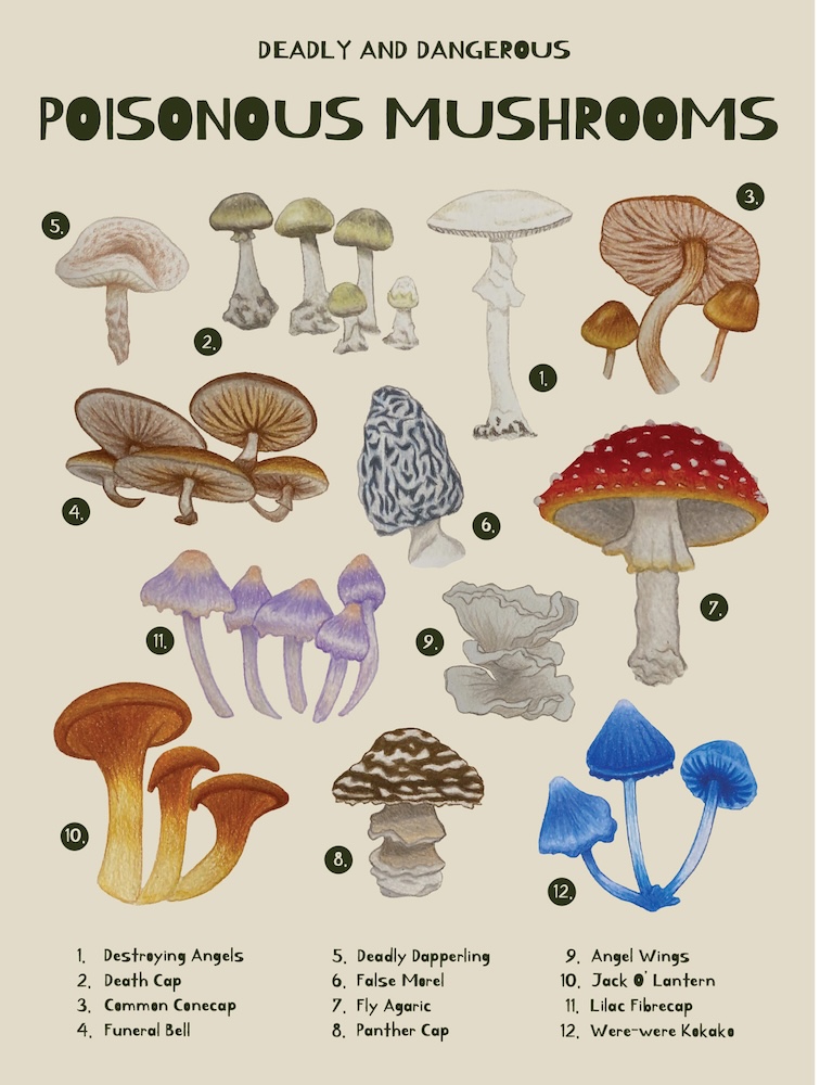 Poster Design illustration