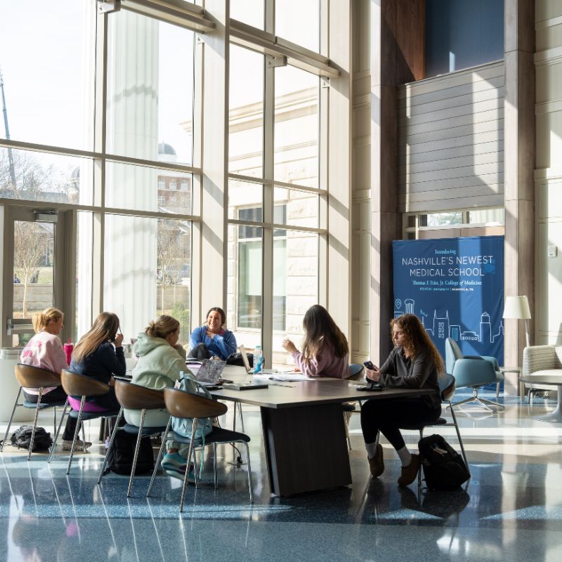 Students studying on campus