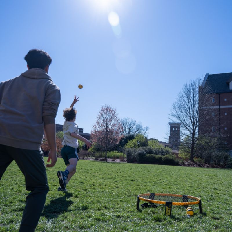 Spikeball on the lawn