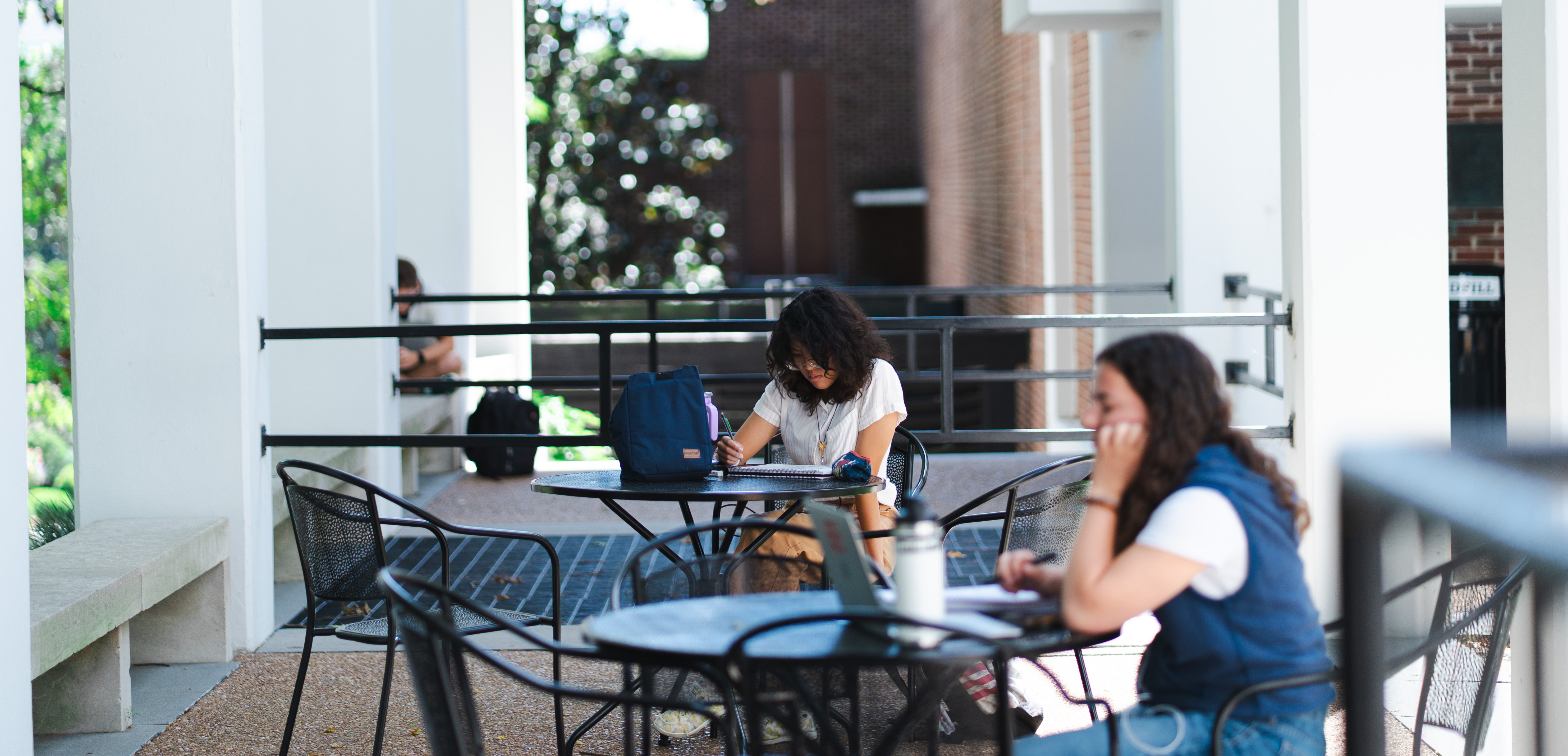students studying outside
