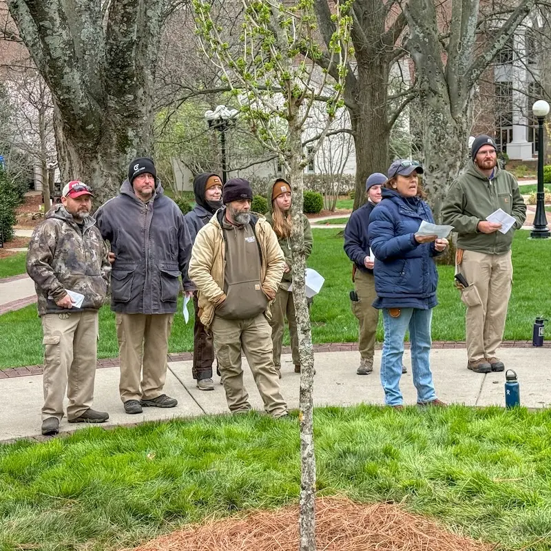 Landscaping team members standing in front of newly planted tree