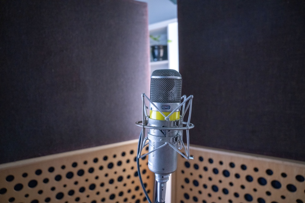Condenser studio microphone in a sound booth, perfect for vocal recording and music production.