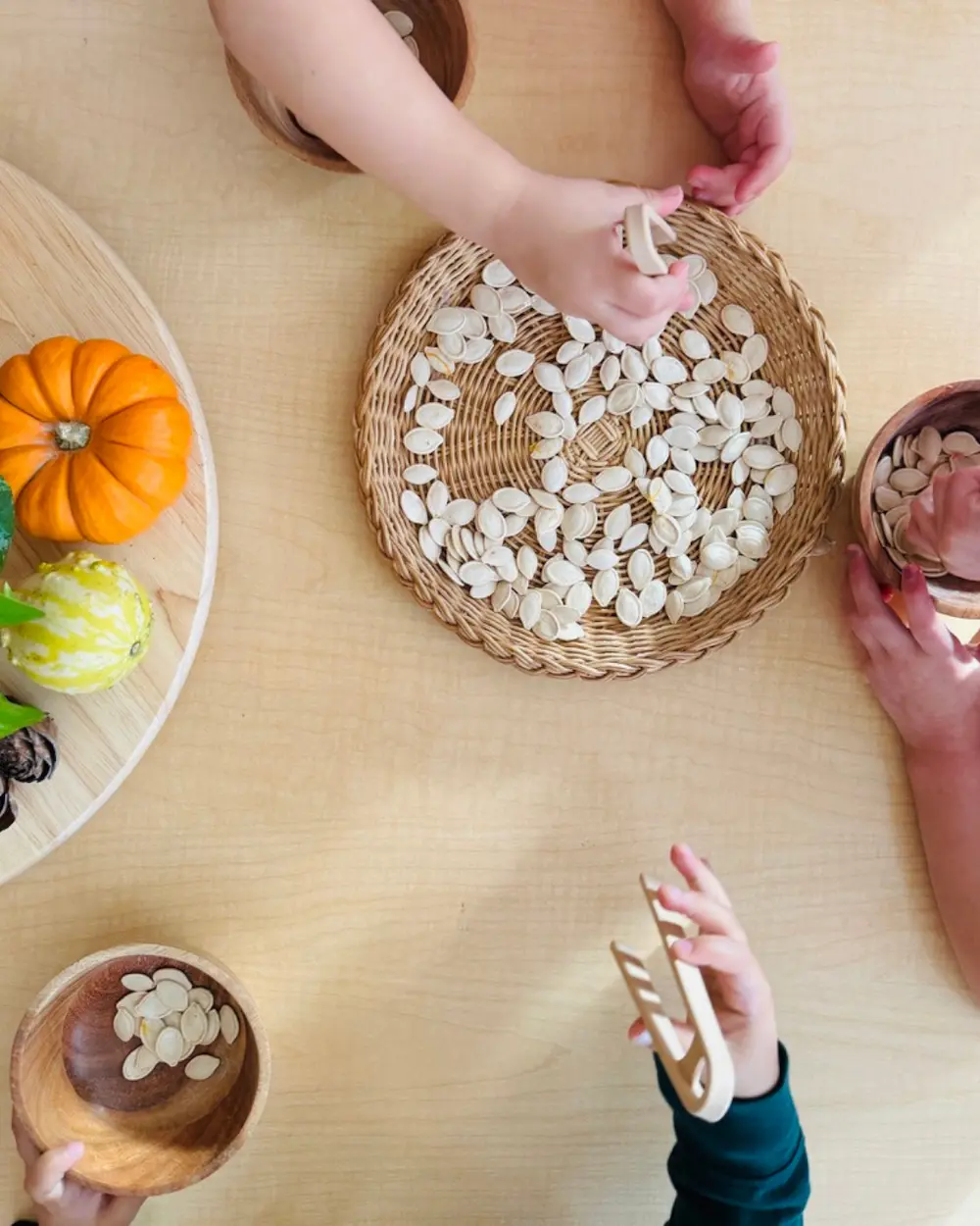 Kid hands playing with seeds