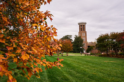 campus fall leaves