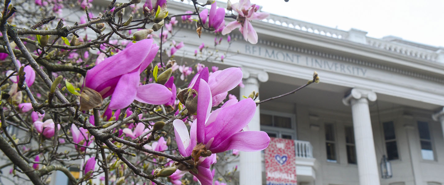 dogwoods blooming in front of Freeman Hall