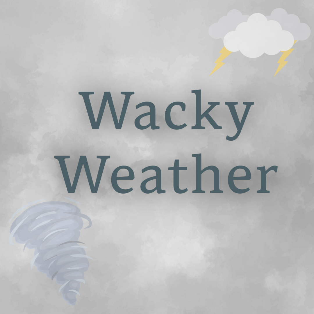 graphic of the text Wacky Weather on a gray watercolor background with a tornado and lightning bolt pictured