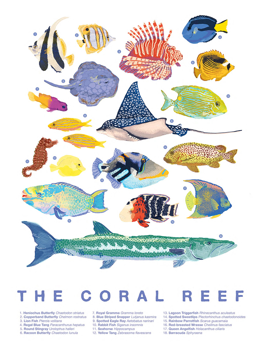 illustrated fish on a poster about the coral reef